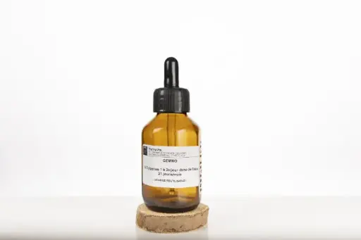 Gemmotherapie